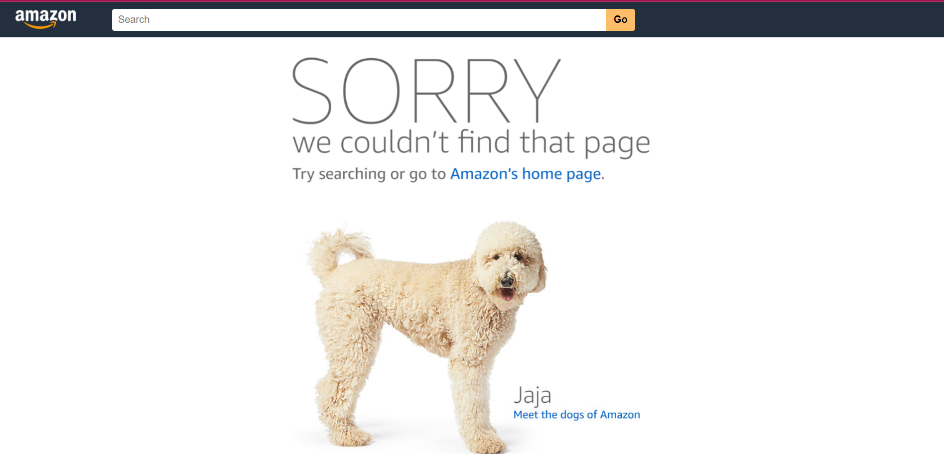 Amazon 404 page